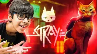 Neste jogo EU SOU UM GATO! (Vlog Play Ep 77)