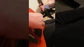 Ромашки