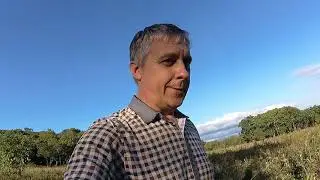 Продолжение про побег. И снова свинское пополнение.
