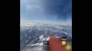 FLY W/ THE GANG II