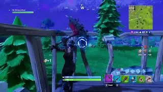 fortnite battle royale: neally won nooooooo