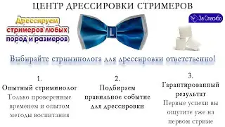Центр дрессировки стримеров. Программа лояльности "За Спасибо"