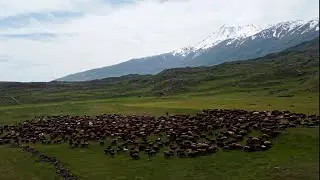GÖÇ YOLCULUĞU SERÜVENİ BAŞLADI (1.BÖLÜM)