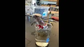 Can Implosion (Slow Motion)