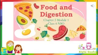 Food and Digestion  - Module 3.1 (Chapter 3 - Olympiad Class 4 Science)