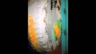 Elmo world farm