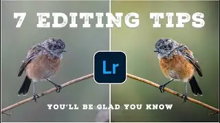 7 LIGHTROOM TIPS and TRICKS every photographer should know