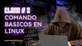 Comandos Basicos de Linux - Curso Mastro en Ciberseguridad
