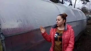 Мой тепличный бизнес.