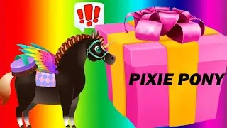 Pixie The Pony - The Pony - Pixie Pony - My Virtual Pet Unicorn Horse
