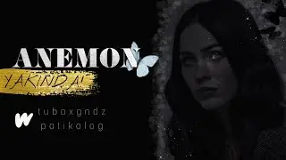 Anemon | Wattpad Kitap Tanıtımı (Egzod & Maestro Chives ft. Neoni - Royalty)