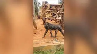 Tresor Baraka - Visite au Zoo "Maroc"