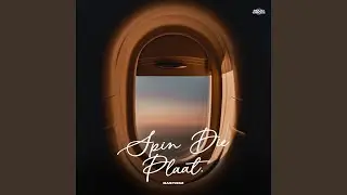 Spin Die Plaat