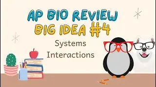 AP Bio Review Big Idea 4 (Systems Interactions)