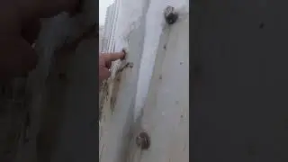РефКонтейнер снаружи и изнутри