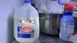 Life of A Milk Gallon