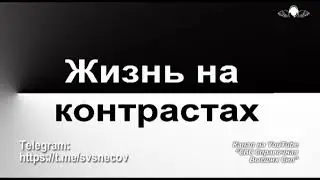 851 Жизнь на контрастах