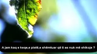 Pendimi i një vajze Ngjarje e vërtetë ᴴᴰ