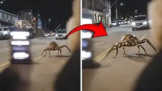 If These Road Moments Were Not Filmed , No One Would Have Believed Them