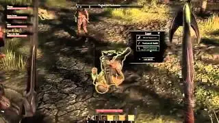 TESO два одноручных оружия 1