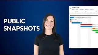 Public Snapshots | Instagantt