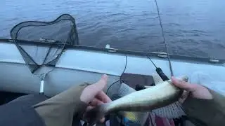 Судак долбит😱 Рыбалка на финском заливе с парашютом 