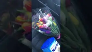 8 марта дари цветы правильно!