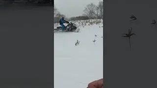 1 июня 2023 г.