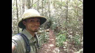 Not a Jungle Video : vlog 27