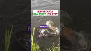 ВСЁ о ПВА стике. Что, как, зачем! #карпфишинг