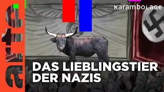 The Aurochs | Carrom | ARTE