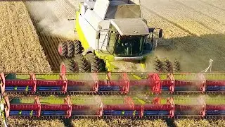 Modern agricultural machines harvesting wheat 2020 2021
