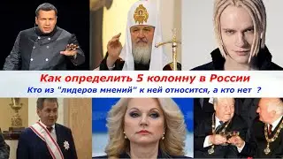 Кто является 5 колонной в России. Кто из лидеров мнений относится к противникам России, а кто нет ?