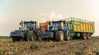 Koszenie kukurydzy 2019 GR Majchrzycki! 8x New Holland & JCB