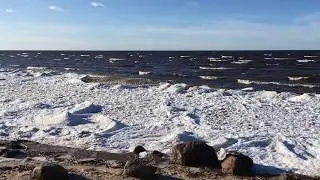 Красивый пляж в деревне Синьковщина Гдовский район