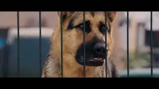 beverley hills chihuahua (2008) - delgado meets an old friend