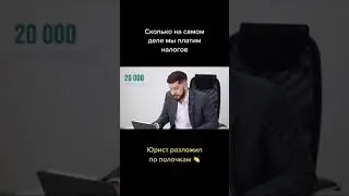 Сколько на самом деле мы платим налогов