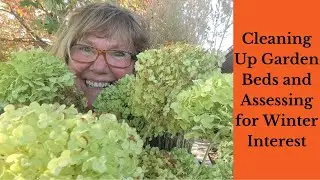How to Clean Up Garden Beds & Assess for Winter Beauty