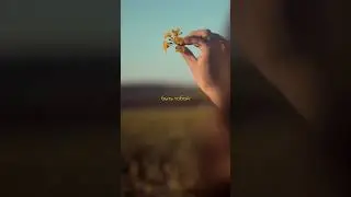 #обесценивание