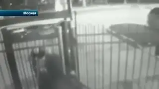 Последние новости .  Москва .  Пытался убить жену...