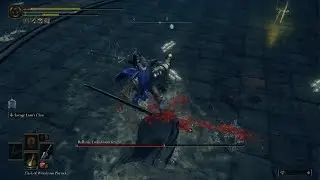 ELDEN RING - Rellana, Twin Moon Knight - Solo - GUTS BUILD