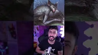 They filmed a chupacabra | Neno