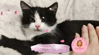 💓 Малыш растёт не по дням, а по часам, а ведь у нас меньше месяца 🍀