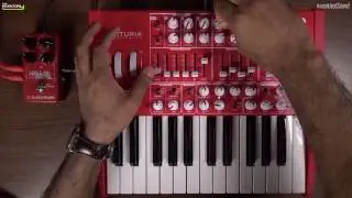 No talk, just sound - Arturia MiniBrute RED