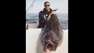 Ловля палтуса в Норвегии. Эффективный способ! 20 палтусов за 5 дней! Halibut fishing.