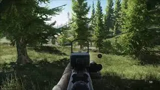 EFT - Escape From Desync: Shoreline edition