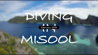 Diving in Misool, Raja Ampat, Indonesia | 4K | Sony A7Rii | iPhone X