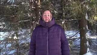 ПОЛЬЗА ПРОГУЛОК В ЗИМНЕМ ЛЕСУ || Хвоя и ее применение