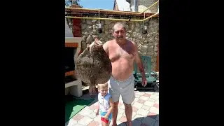 Дед Рыбак и черноморская камбала