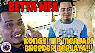 TERJAH BETTA MFA//ALONG KONGSI PENGALAMAN PAHIT MANIS DAN TIPS MENJADI BREEDER BETTA BERJAYA